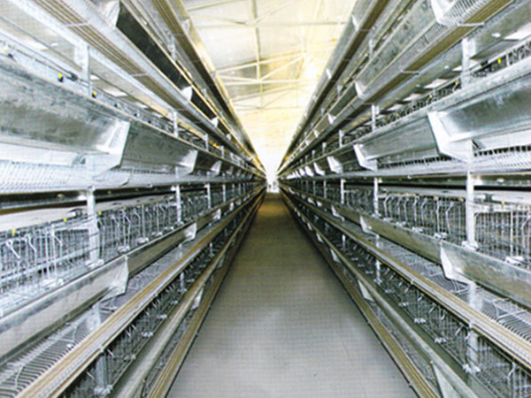 層疊式蛋雞籠養(yǎng)養(yǎng)雞設(shè)備